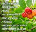 perfect-supplements-perfect-acerola-powd-5.jpg