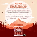 worlds-first-shilajit-pure-resin-softgel-6.jpg
