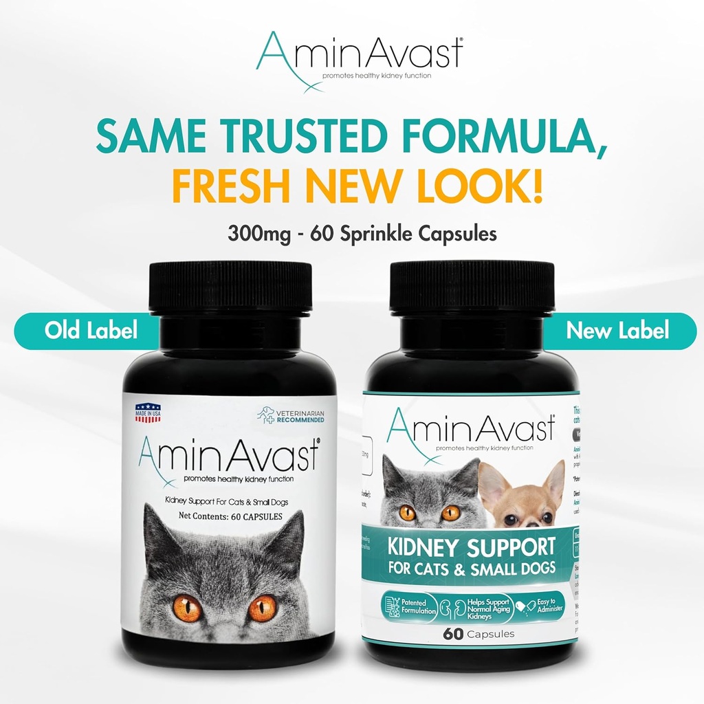 aminavast-kidney-support-supplement-for--2.jpg