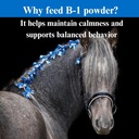 su-per-b-1-horse-calming-supplement---eq-5.jpg