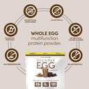 designer-wellness-designer-egg-natural-e-5.jpg