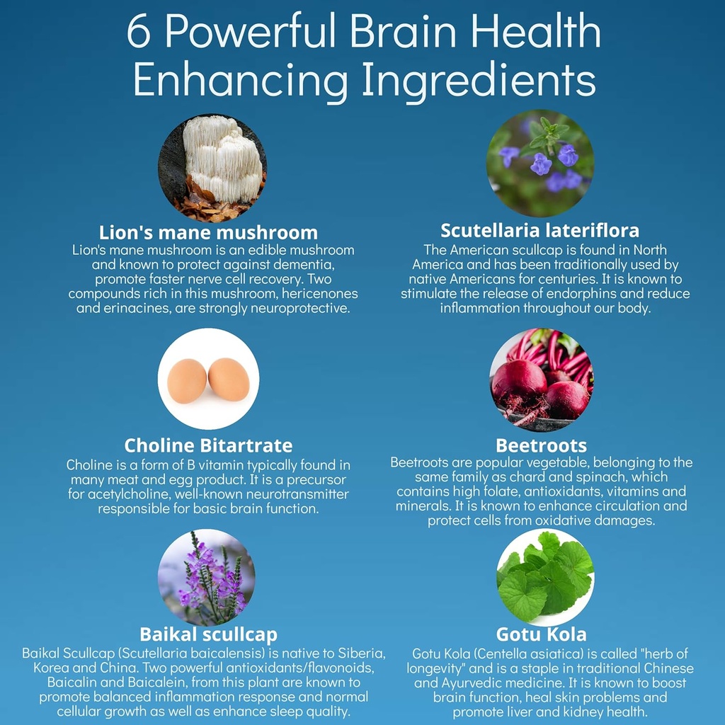 brain-health-nootropic-supplement-lions--5.jpg