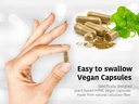 dr-wakdes-aragwadha-capsules-cassia-fist-4.jpg