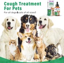 dog-cough-treatment-dog-allergy-relief-s-3.jpg