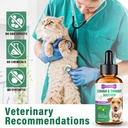 dog-cough-treatment-dog-allergy-relief-s-4.jpg