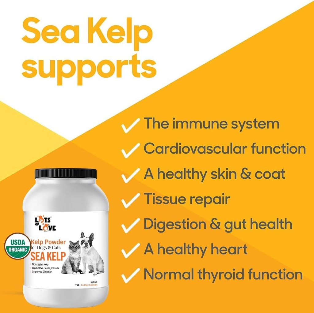 organic-sea-kelp-powder-7-pounds-32-kg-i-3.jpg