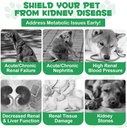 pet-kidney-support-for-dogs-veterinarian-6.jpg
