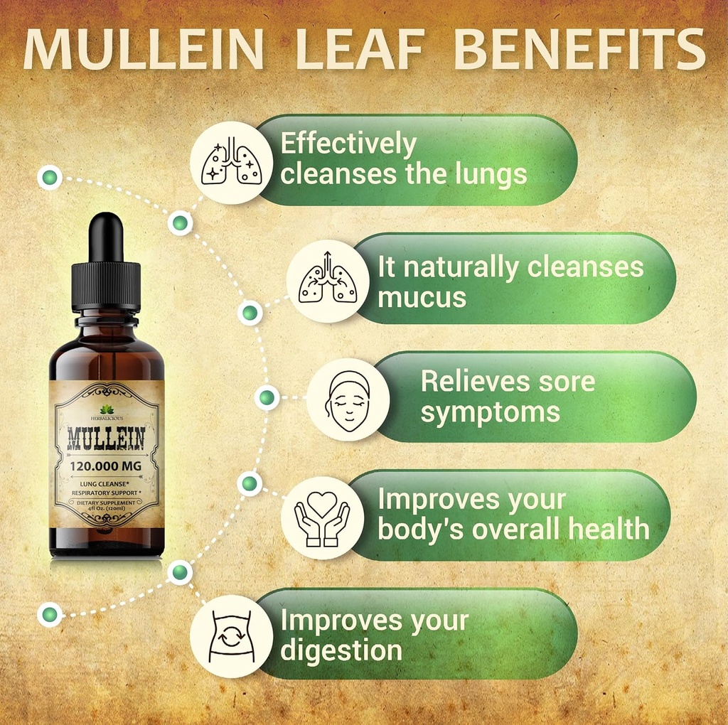 herbalicious-mullein-drops-for-lungs-org-5.jpg