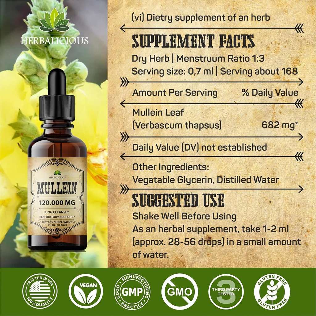 herbalicious-mullein-drops-for-lungs-org-6.jpg