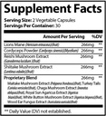 dr-loves-roar-lions-mane-supplement-60-c-2.jpg