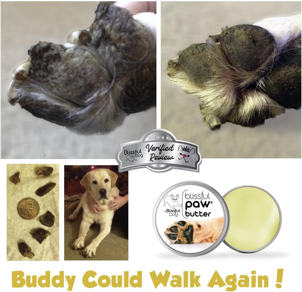the-blissful-dog-paw-butter-moisturizer--6.jpg