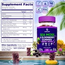 irish-sea-moss-gummies-sea-moss-bladderw-5.jpg