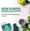 organic-chlorella-powder-raw-sun-grown-n-5.jpg