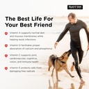 nutri-vet-senior-vite-multivitamin-dog-s-4.jpg