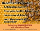 dr-ohhiras-propolis-plus-with-brazilian--2.jpg