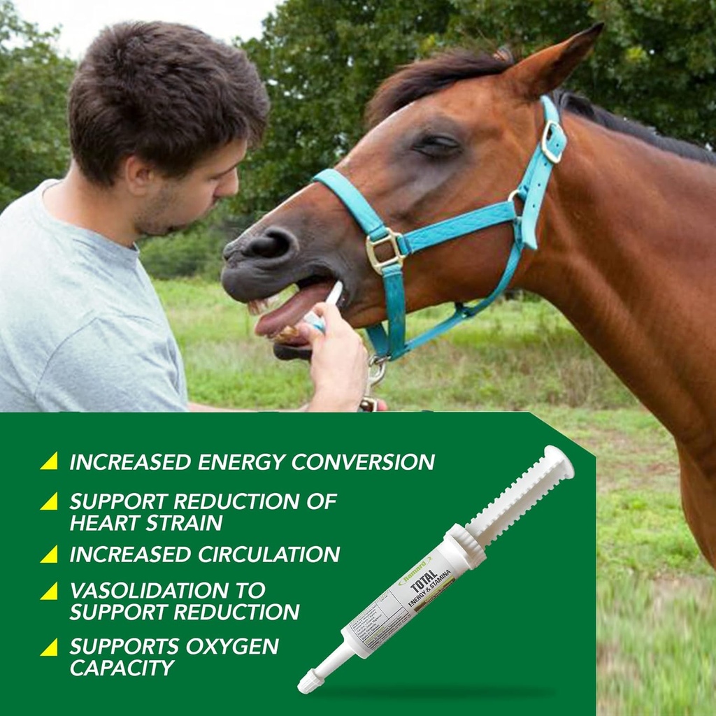 ramard-total-energy-and-stamina-support--3.jpg