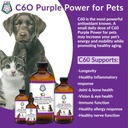 c60-power-for-pets---c60-in-organic-mct--3.jpg