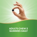 natures-way-chlorofresh-chlorophyll-gumm-6.jpg