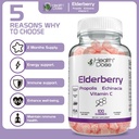 health-dose-elderberry-sambucus-gummy-vi-4.jpg