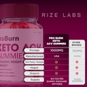 rize-labs---pro-burn-keto-acv-gummies-ad-6.jpg