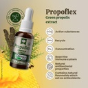 beelife-propoflex-organic-green-propolis-2.jpg