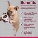 cranberry-supplements-for-dogs-urinary-t-2.jpg