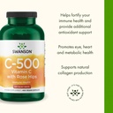 swanson-vitamin-c-with-rose-hips-500-mil-4.jpg