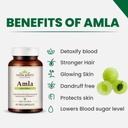 generic-rise-amla-capsules-60_-organic-a-3.jpg