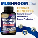 organic-cadane-mushroom-complex-suppleme-4.jpg