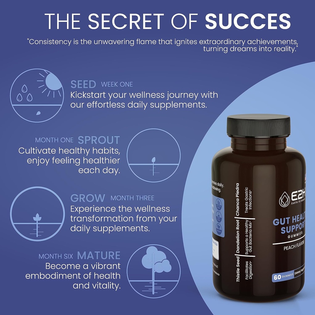 e2h-gut-support-gummies---60-count---gel-3.jpg