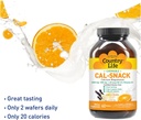 country-life-cal-snack-chewable-calcium--2.jpg