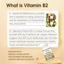 riboflavin-vitamin-b2-supplement---b-2-v-4.jpg