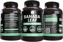 pure-original-ingredients-banaba-leaf-ex-4.jpg