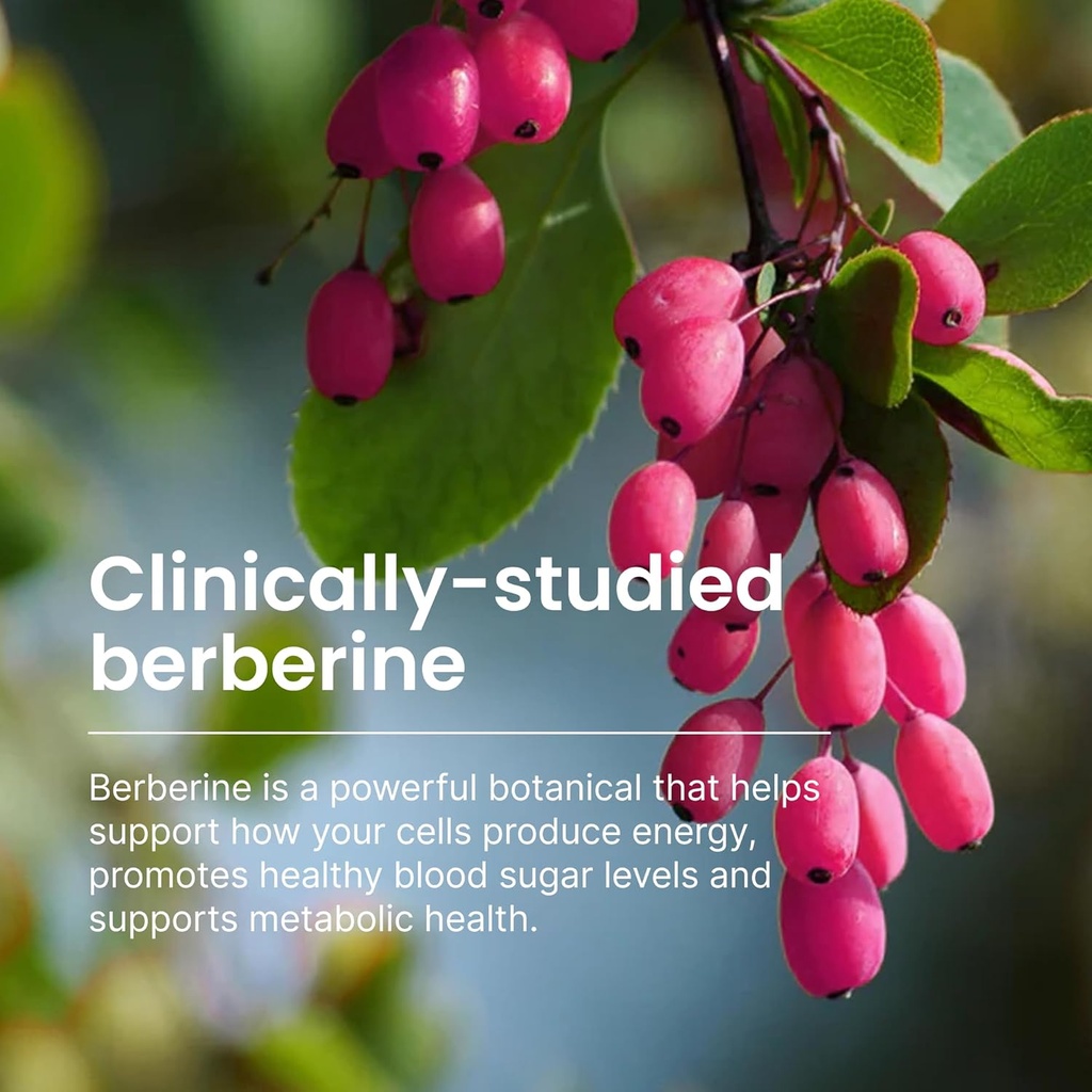 humann-superberine-berberine-supplements-5.jpg