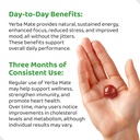 holymary-yerba-mate-gummies-raspberry-fl-3.jpg