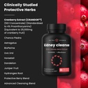 kidney-cleanse-detox-22-in-1-kidney-supp-6.jpg