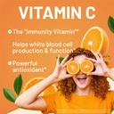 immune-complex-once-a-day---vitamin-c-90-3.jpg