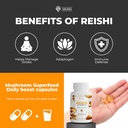 sirunes-reishi-mushroom-capsules-100-cou-6.jpg