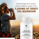 dr-emil-nutrition-turkey-tail-mushroom-c-2.jpg