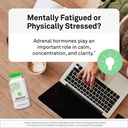 neuroscience-adrenal-support-supplements-5.jpg