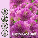 natures-answer-red-clover-extract-supple-5.jpg