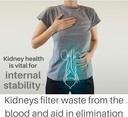 kidney-cleanse-supplement-speedyvite-2-f-4.jpg