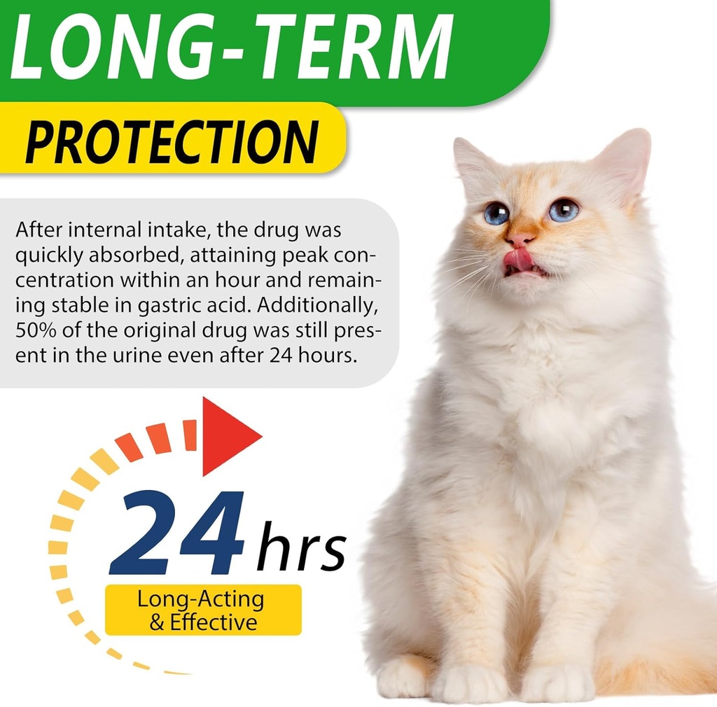 antibiotics-for-cats-premium-cat-antibio-5.jpg