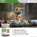 vitamin-e-for-dogs-vitamin-e-dog-vitamin-3.jpg