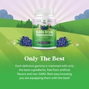 kids-iron-gummies---blood-builder-iron-s-4.jpg