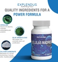 celulas-madres--stem-cell-supplement-for-5.jpg
