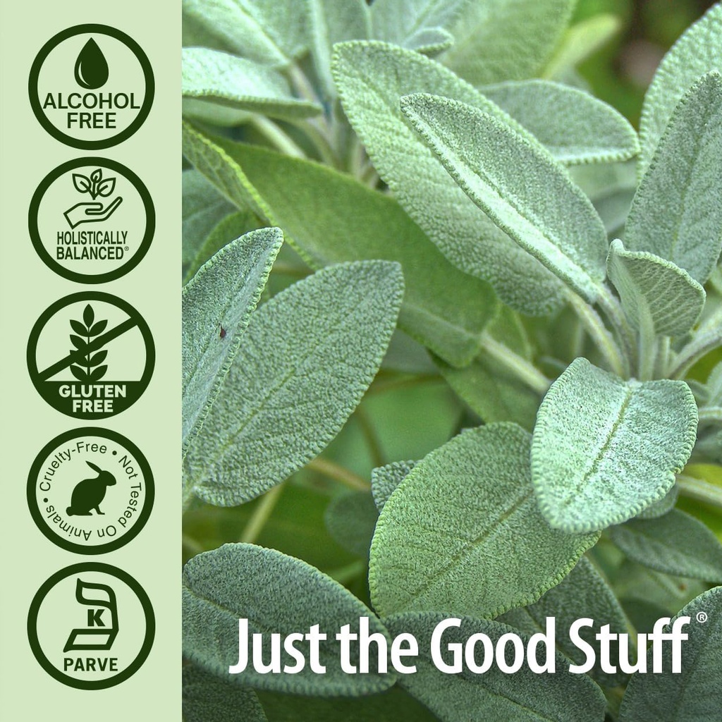 natures-answer-alcohol-free-sage-leaf-su-5.jpg