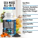 silicon-sea-moss-black-seed-oil-ashwagan-3.jpg