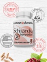 schizandra-berry-extract-3-pack-101-conc-6.jpg