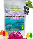 irish-sea-moss-gummies-raw-organic-wildc-5.jpg